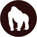 Prompt Gorillas